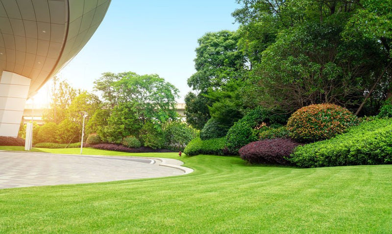 4 Success Tips for your Landscaping Business - Mow More