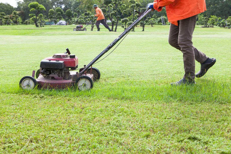 4 Ways to Attract Your First Lawn Care Customers - MowMore