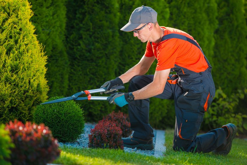 5 Benefits of Quality Landscaping - MowMore