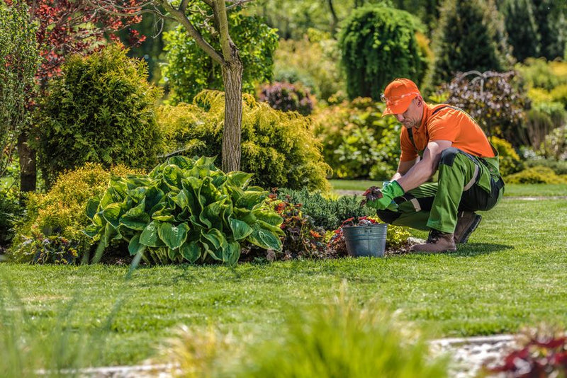 6 Common Mistakes Every Landscaping Company Should Avoid - MowMore