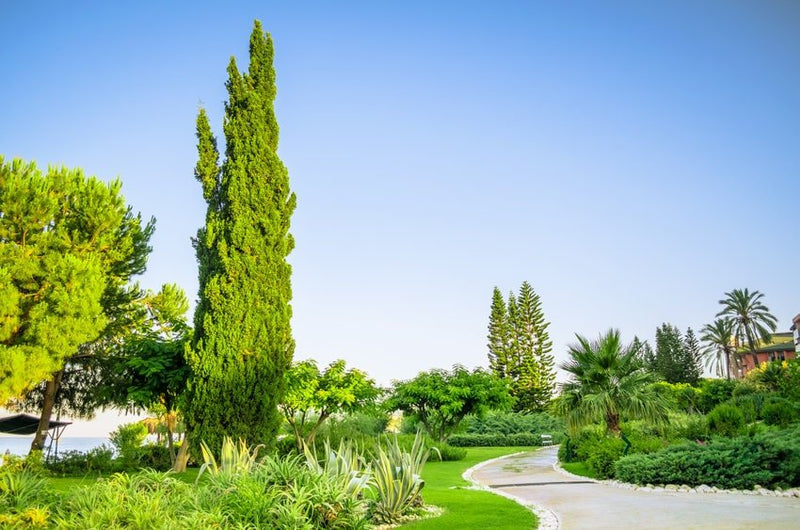 6 Tips For Commercial Property Landscaping Maintenance - Mow More