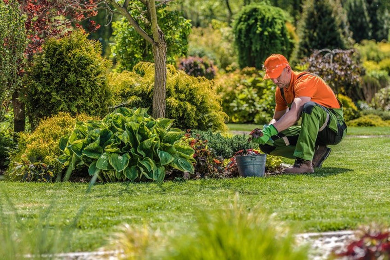 How to Hire Landscapers: A Guide for Commercial Landscape Companies - MowMore