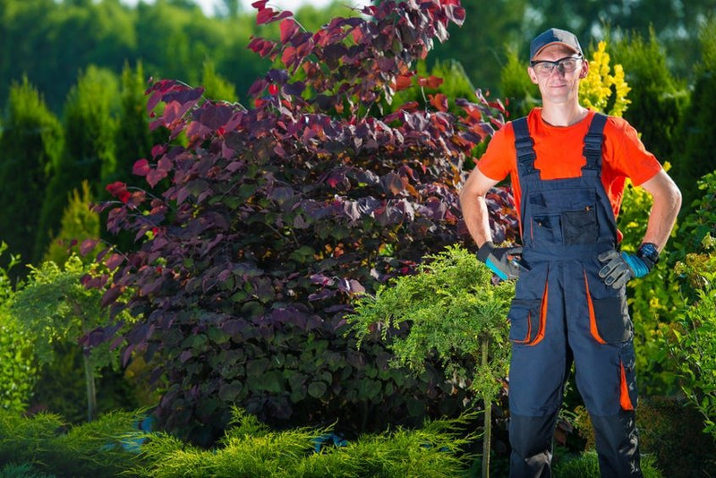 How to Thrive in the Landscaping Industry - MowMore