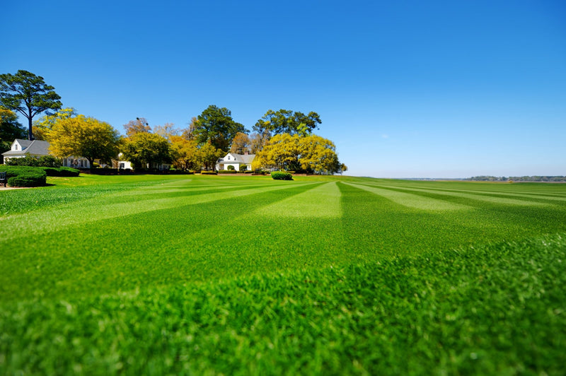 Is Your Lawn Maintenance Company Ready for 2022? Here's What You Can Expect - MowMore