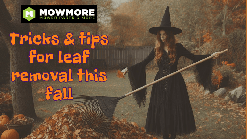 Tricks & Tips for Leaf Removal this Fall - MowMore