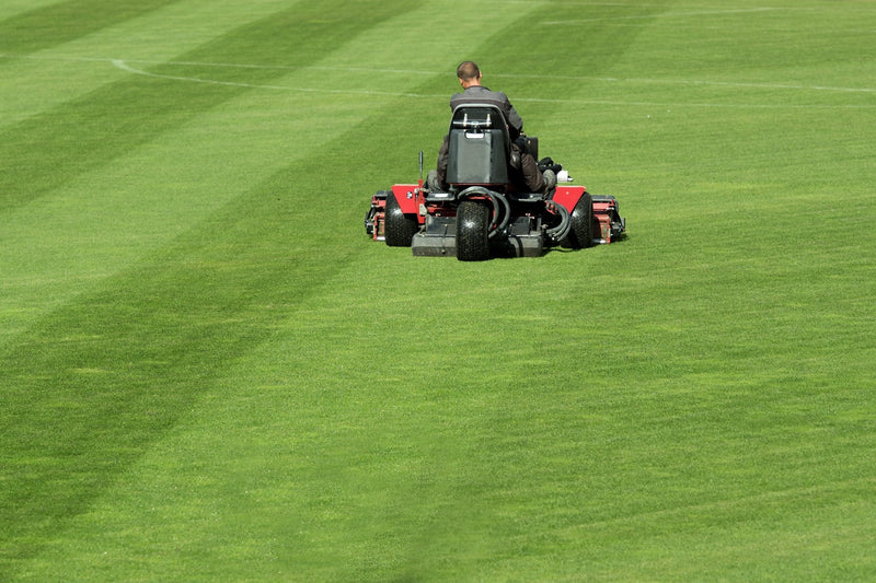 Win More Commercial Lawn Maintenance Bids in 2023 - MowMore